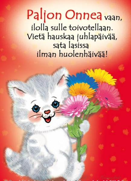 Ansio Kissa paljon onnea kortti