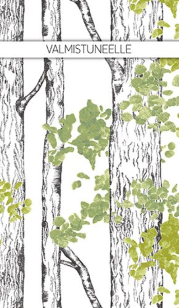 Vallila Haavikko setelitasku Valmistuneelle