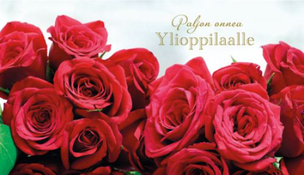 Karto ylioppilas punainen ruusukimppu setelitasku