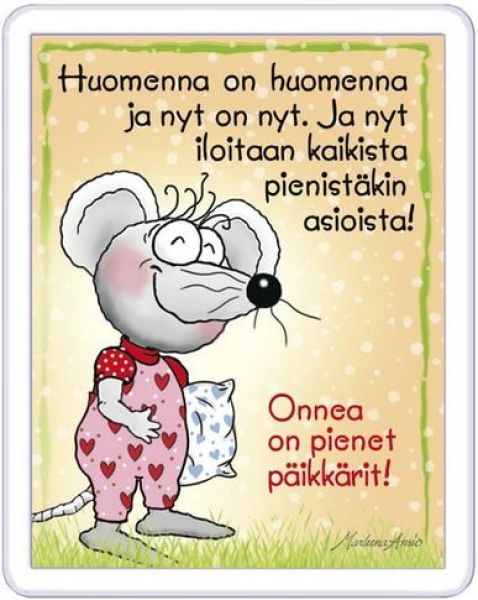 Ansio Hiiri pienet päikkärit magneetti