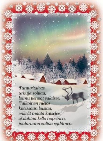Ansio joulu tunturitaivas kortti