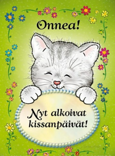 Ansio kissa kissanpäivät kortti