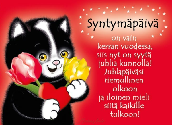 Ansio kissa syntymäpäivä