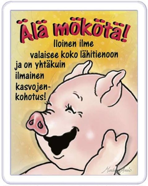 Ansio Lyyli Älä mökötä magneetti