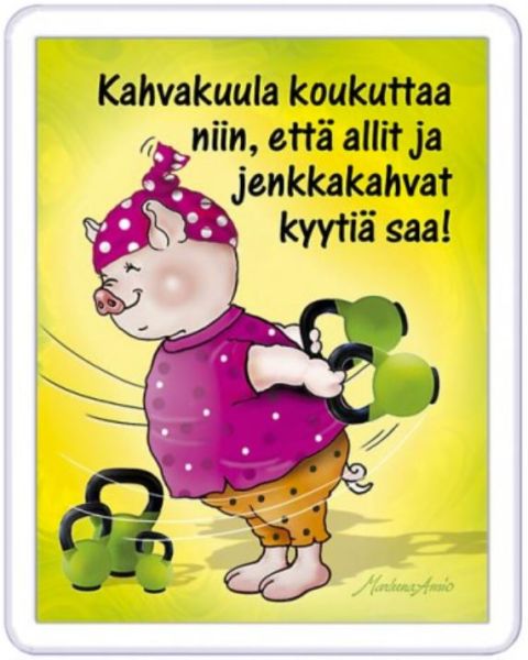 Ansio Lyyli kahvakuula magneetti