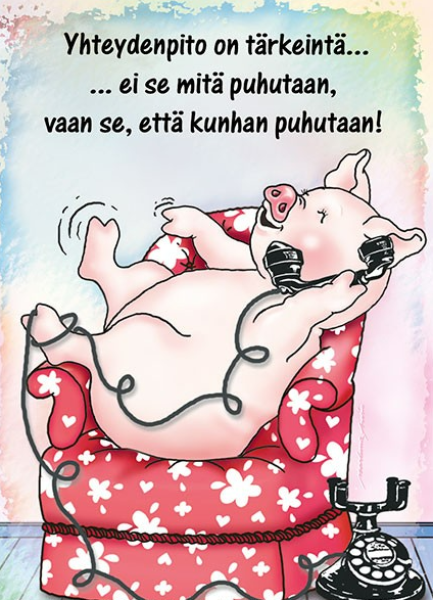 Ansio Lyyli yhteydenpito kortti