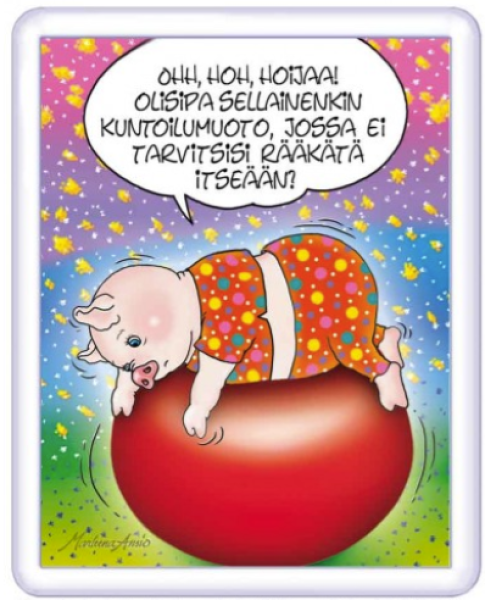 Ansio Lyyli kuntoilumuoto magneetti