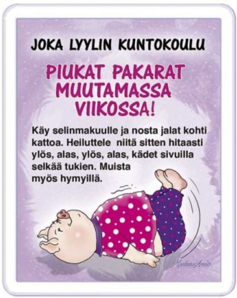 Ansio Lyyli Kuntokoulu magneetti