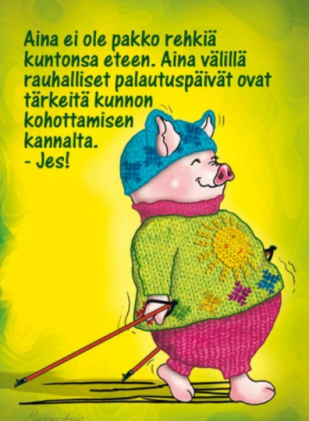 Ansio Lyyli palautuspäivät kortti