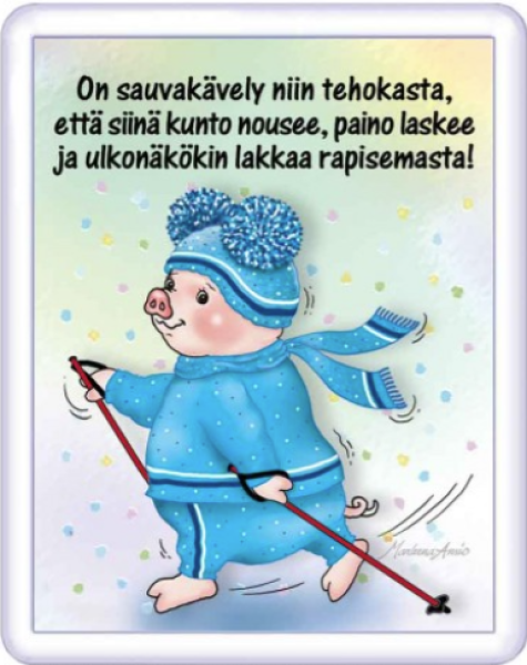Ansio Lyyli sauvakävely magneetti