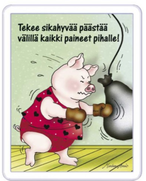 Ansio Lyyli tekee sikahyvää magneetti
