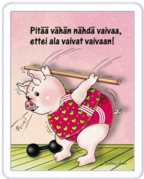 Ansio Lyyli vaivat vaivaa  magneetti