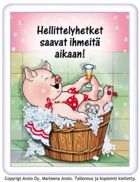 Ansio Lyyli hellittelyhetket magneetti