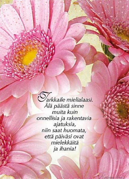 Ansio Tarkkaile mielialaasi kortti