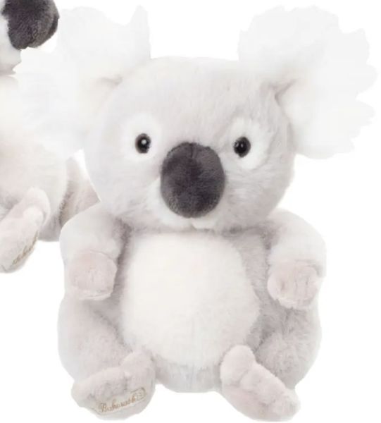 Bukowski baby Koala