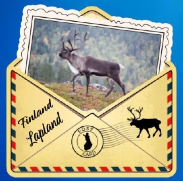 Giftis puumagneetti kesäporo kuoressa