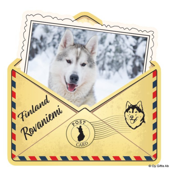 Giftis puumagneetti talvihusky
