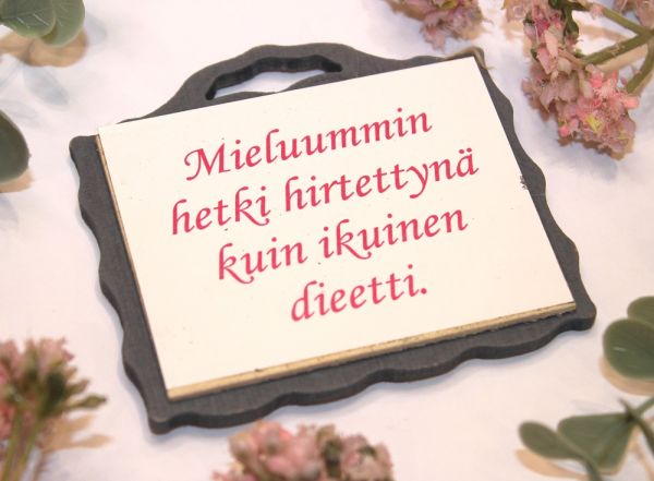 Johan magneetti ikuinen dieetti