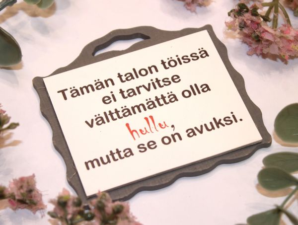 Johan magneetti hullu
