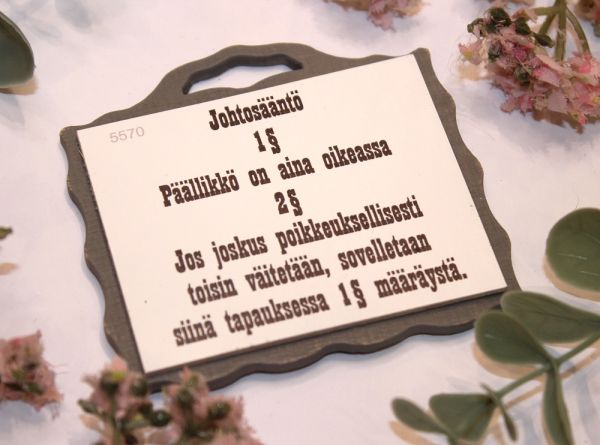 Johan magneetti johtosääntö