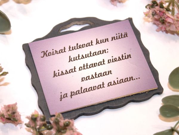 Johan magneetti kissat ja koirat
