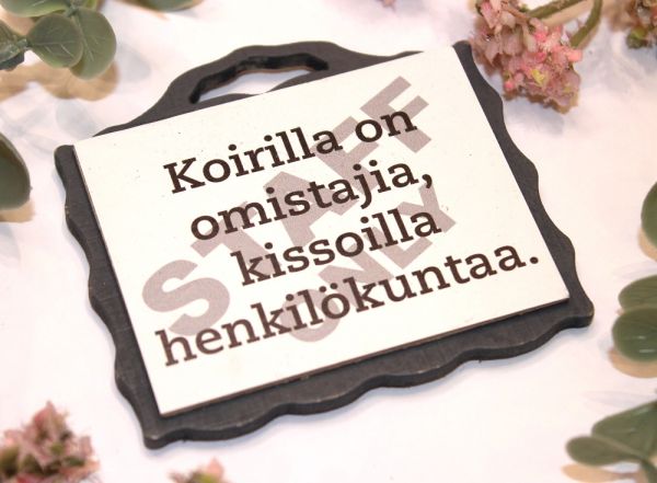 Johan magneetti kissan henkilökunta