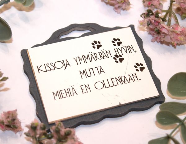 Johan magneetti kissoja ymmärrän