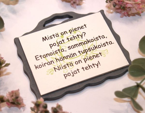 Johan magneetti pienet pojat
