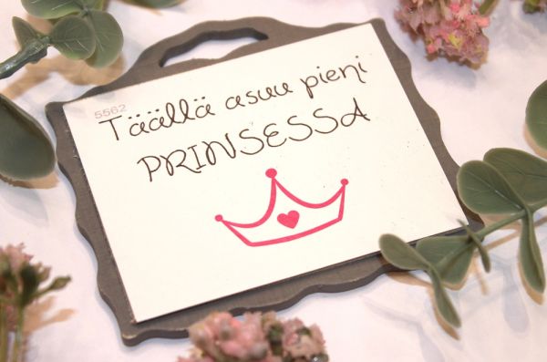 Johan magneetti prinsessa