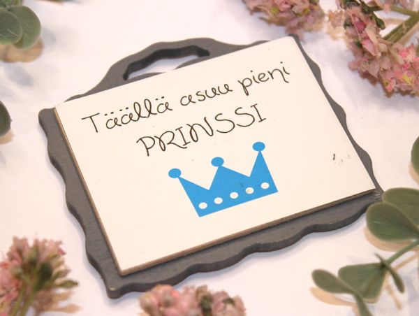 Johan magneetti prinssi
