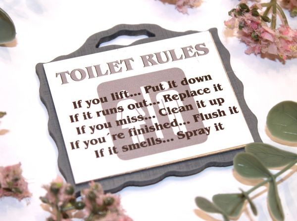 Johan magneetti toilet rules
