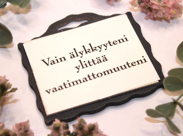 Johan magneetti älykkyys