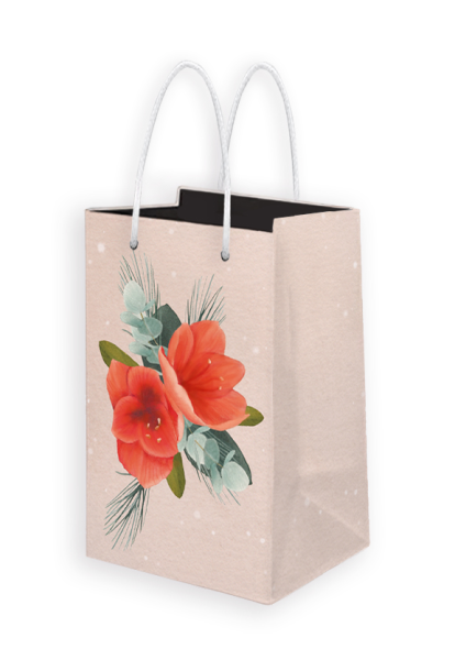 Lahjakassi S amaryllis