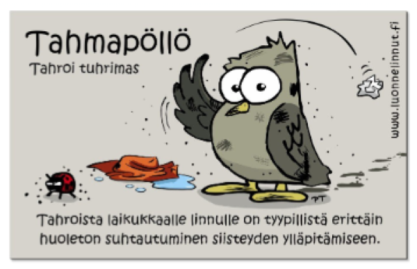Luonnelinnut Tahmapöllö magneetti