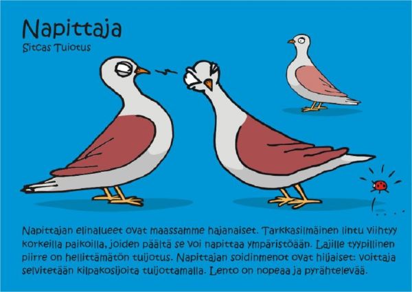 Luonnelinnut Napittaja kortti