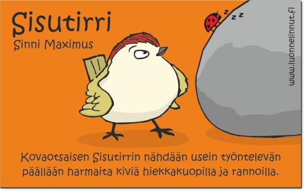 Luonnelinnut Sisutirri magneetti