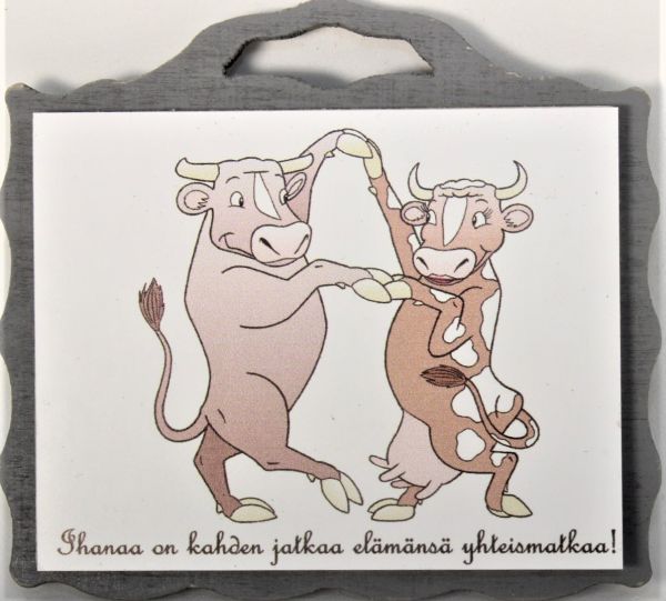 Johan magneetti yhteismatka