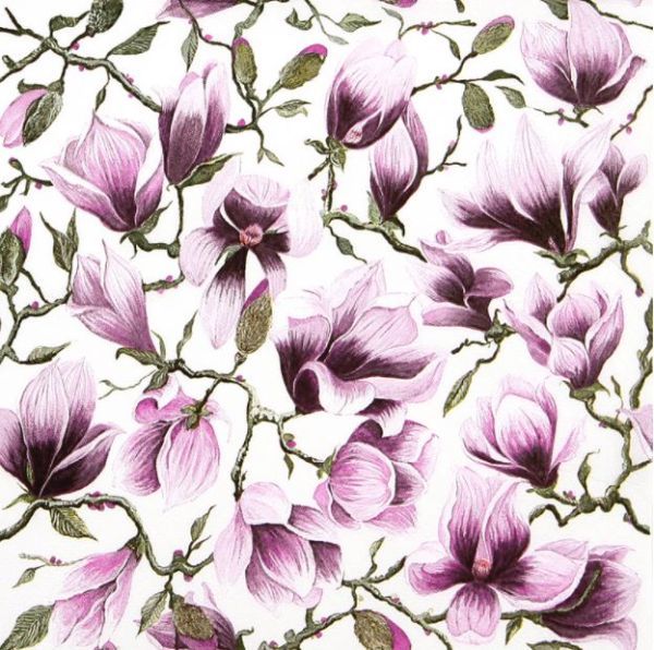 Magnolia servetti