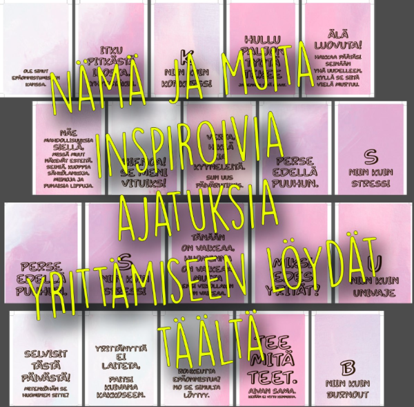 Paskakauppa Yrittäjän puuhakirja-2