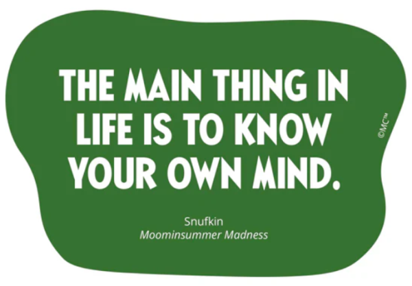 Muumi vinyylitarra The main thing