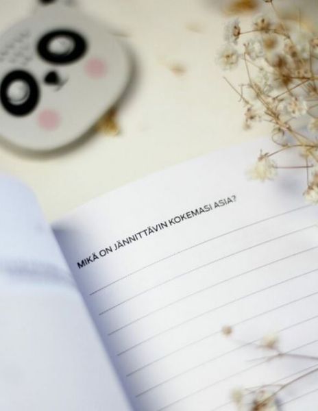Manifestoi unelmiesi elämä-3