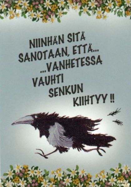 Vilippus vauhti senku kiihtyy kortti