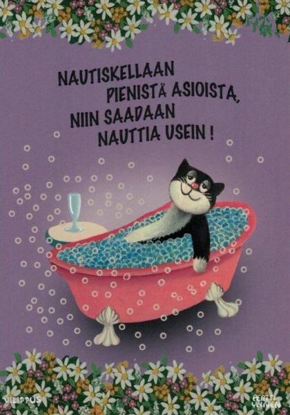 Vilippus nautiskellaan kortti